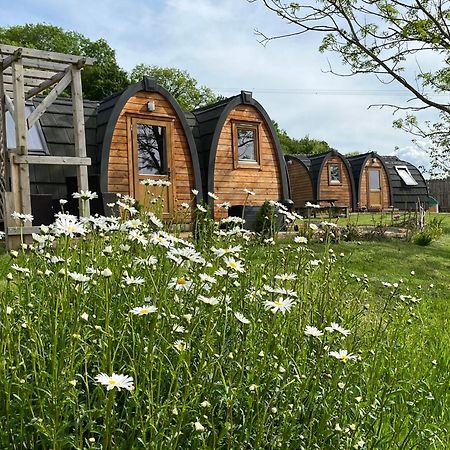 ホテル Hedgehog Glamping Pod School House Farm Leighton  エクステリア 写真